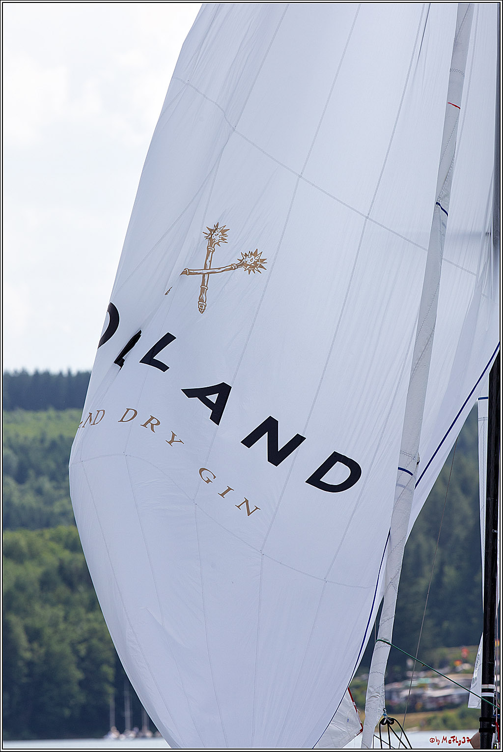 J70 - WOODLAND, 12.06.2021 Segelboot; Segeln; Woodland; Spinnaker; J70; Sorpesee; Sauerland